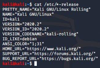 Kali Linux cat /etc/*-release