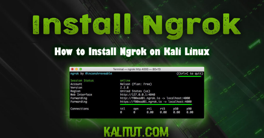 How to use ngrok