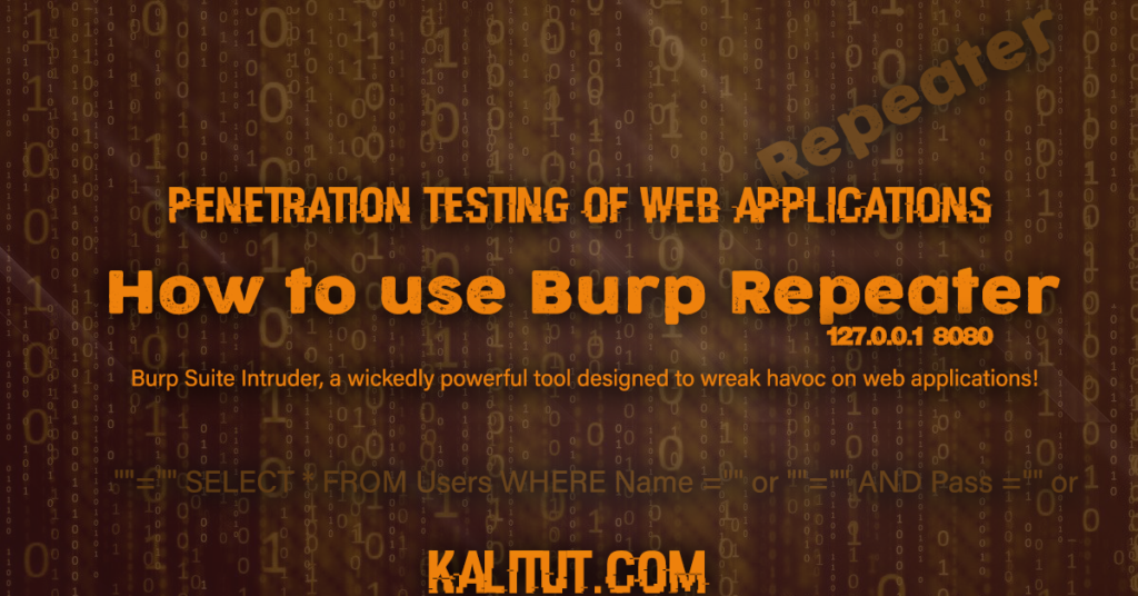 How to use Burp Repeater