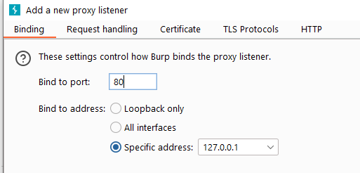 Burp Suite proxy listener